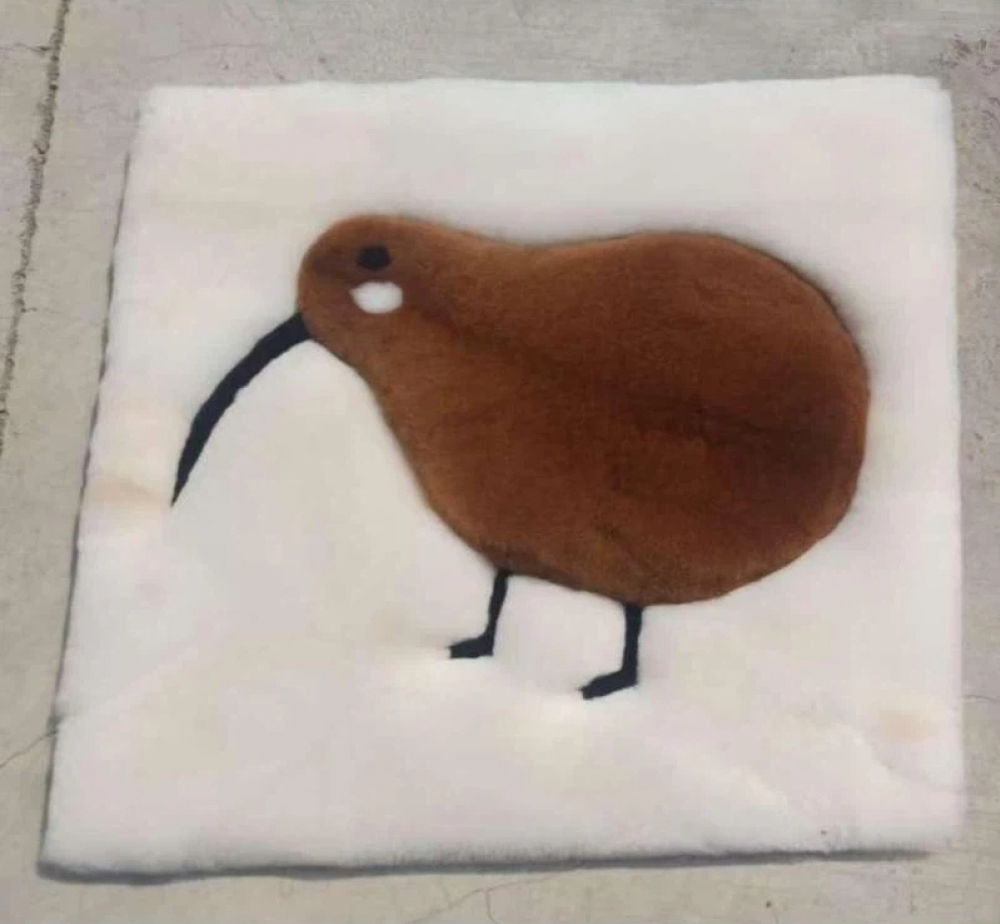 羊驼毛靠枕坐垫（几维鸟图案）