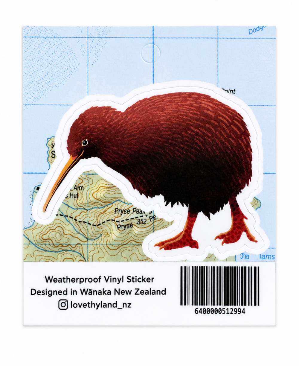 新西兰Kiwi 几维鸟贴纸（72 x 53mm）