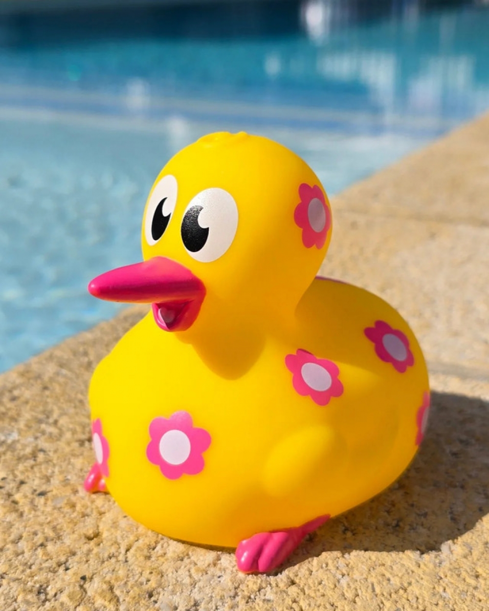 新西兰Kiwucky “花花”｜创意 Kiwi 鸟浴室玩具