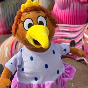 新西兰超可爱的KIWI几维鸟毛绒玩具（35厘米）