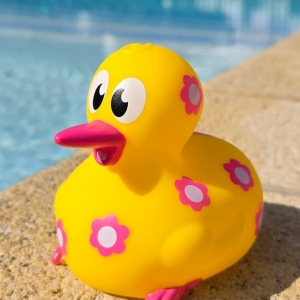 新西兰Kiwucky “花花”｜创意 Kiwi 鸟浴室玩具